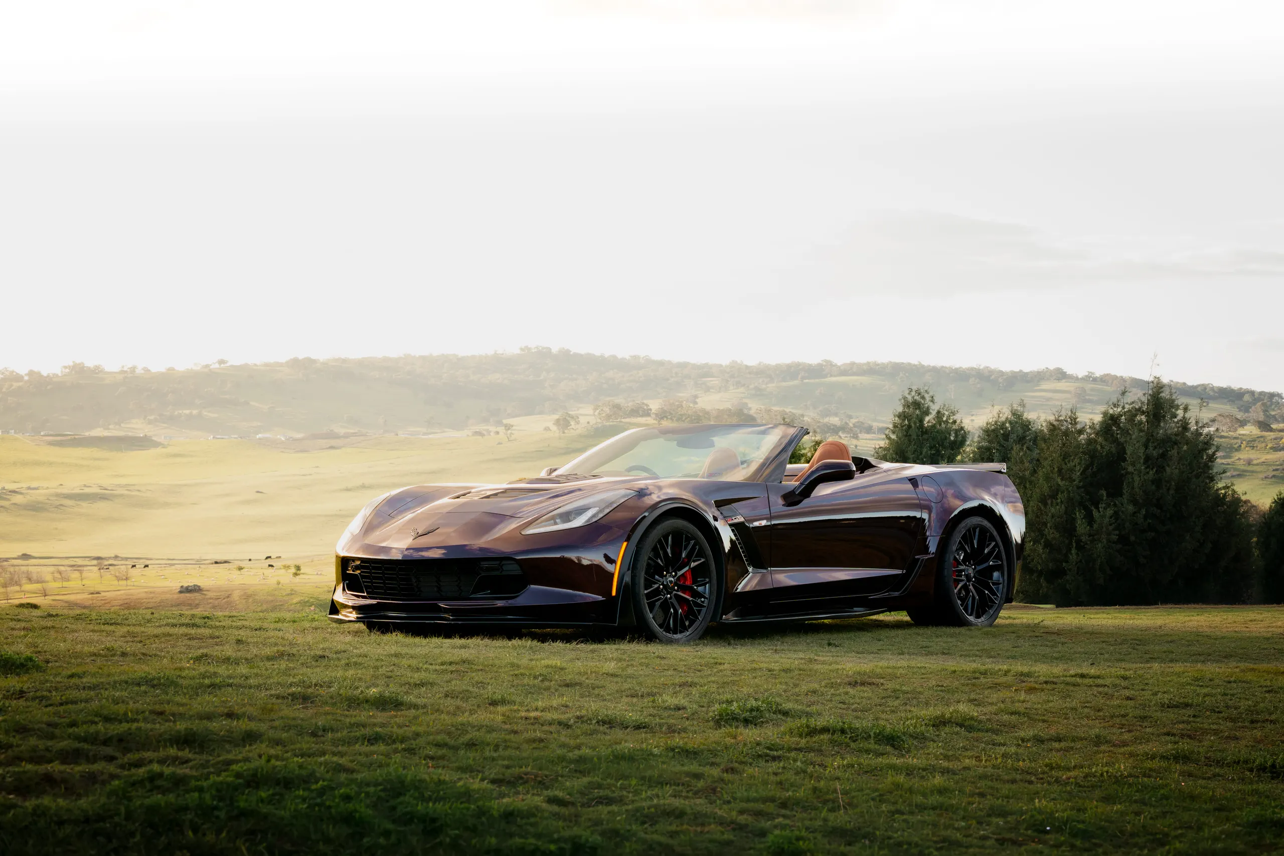 Purple Corvette on a patch of grass in golden sunlight in Canberra
