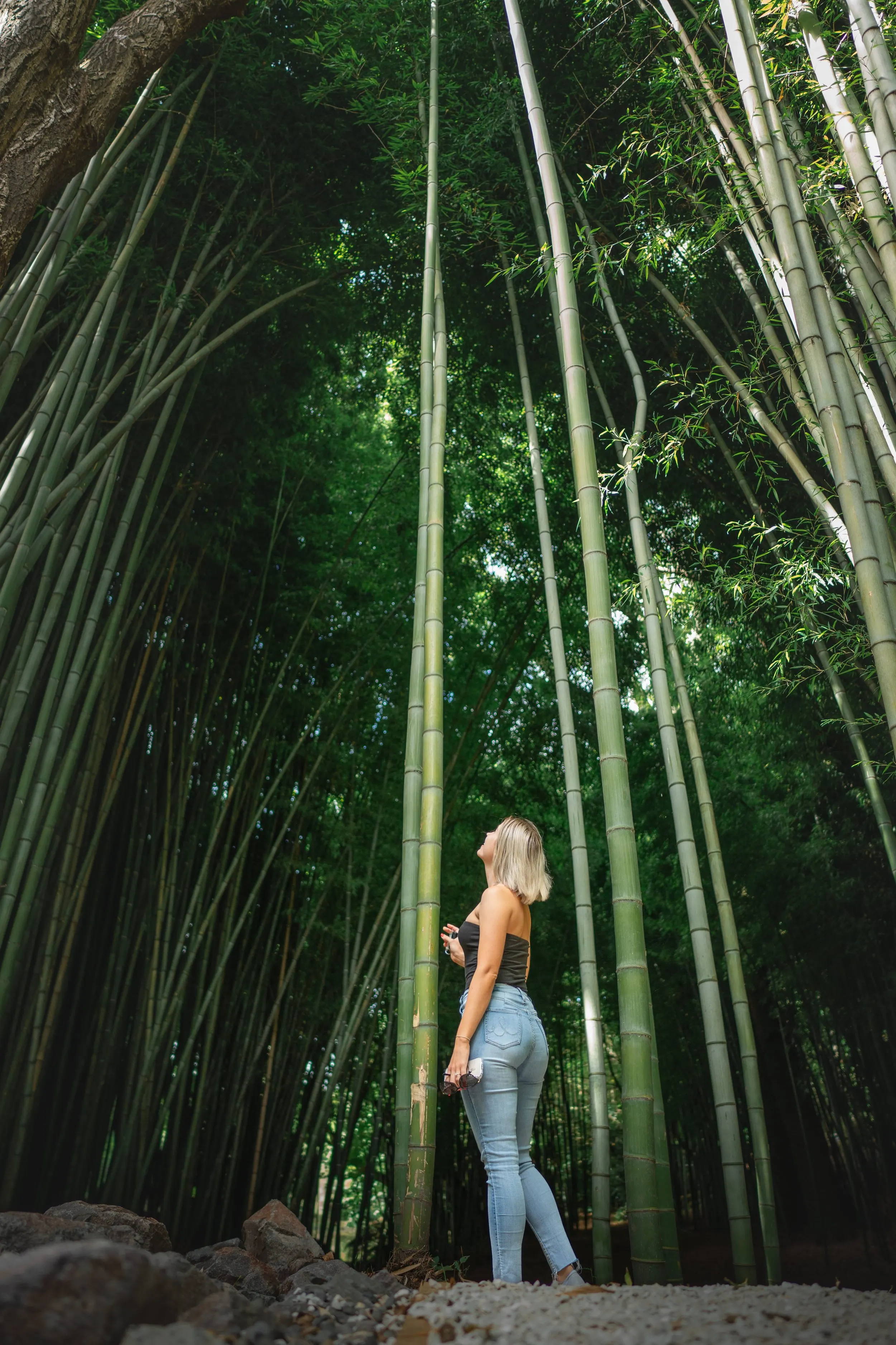 Woman looking up at towering bamboo, shot wide on the Samyang 24mm f1.8