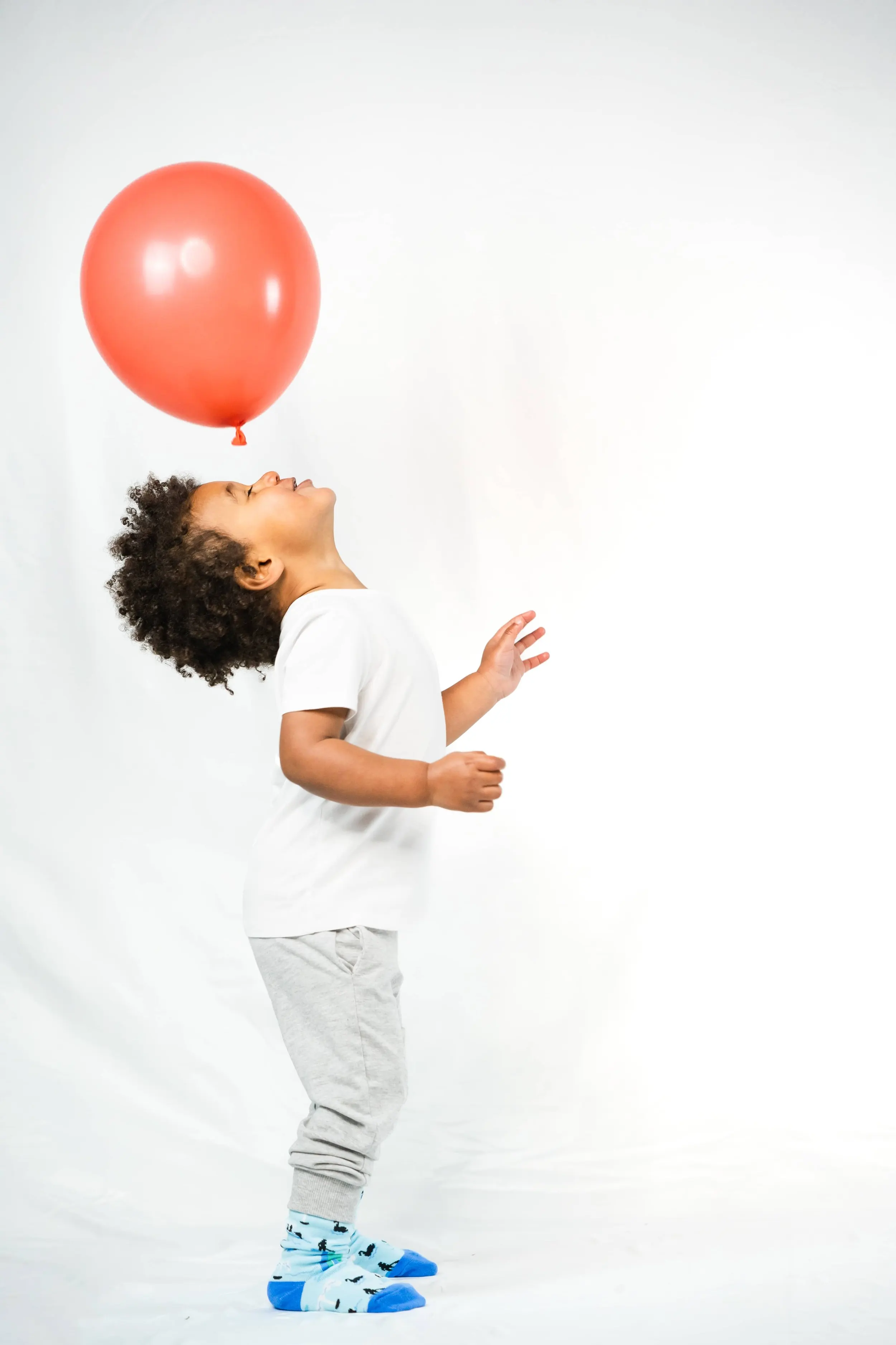 branding photography canberra