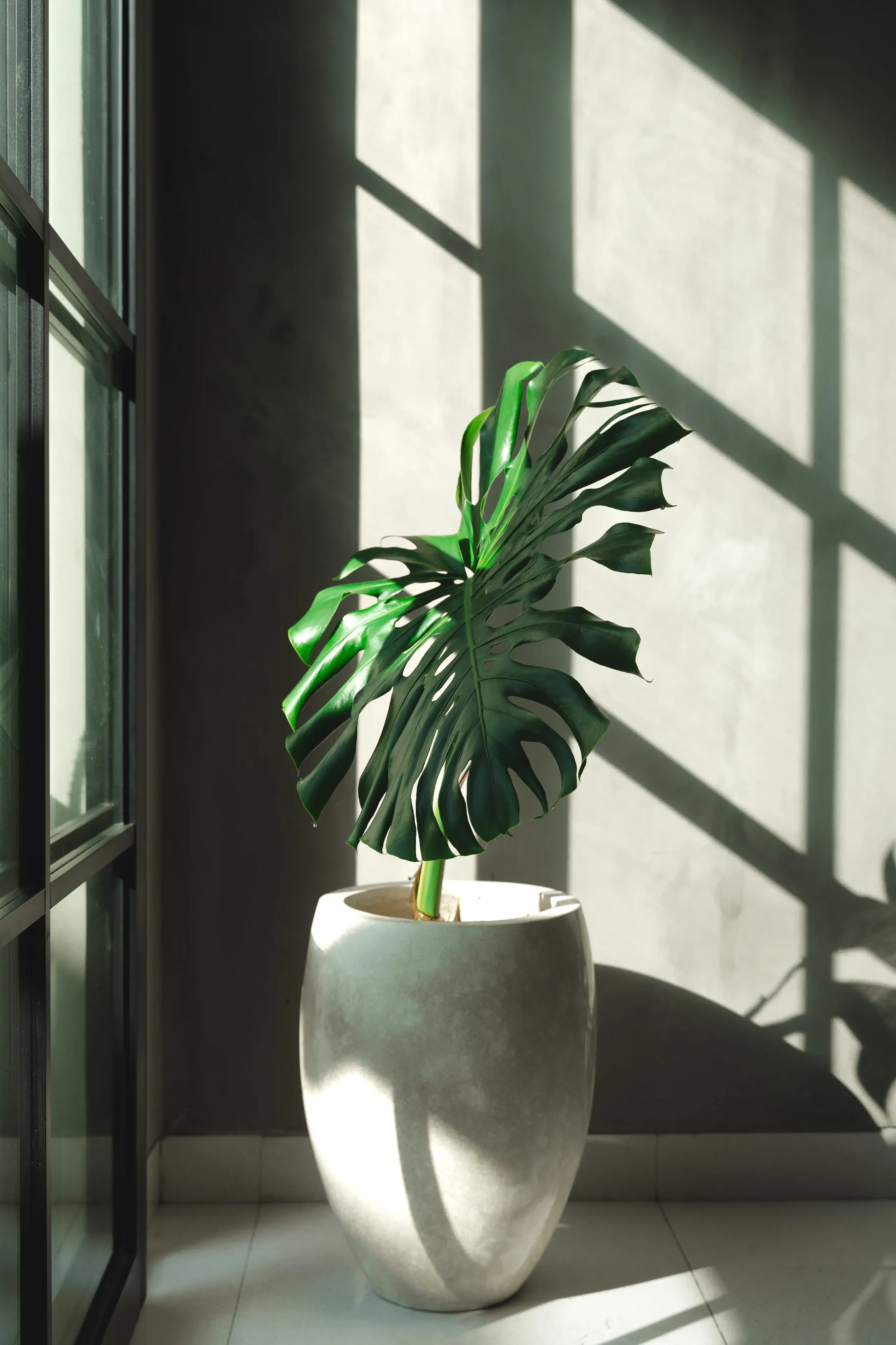 hotel airbnb photographer australia
