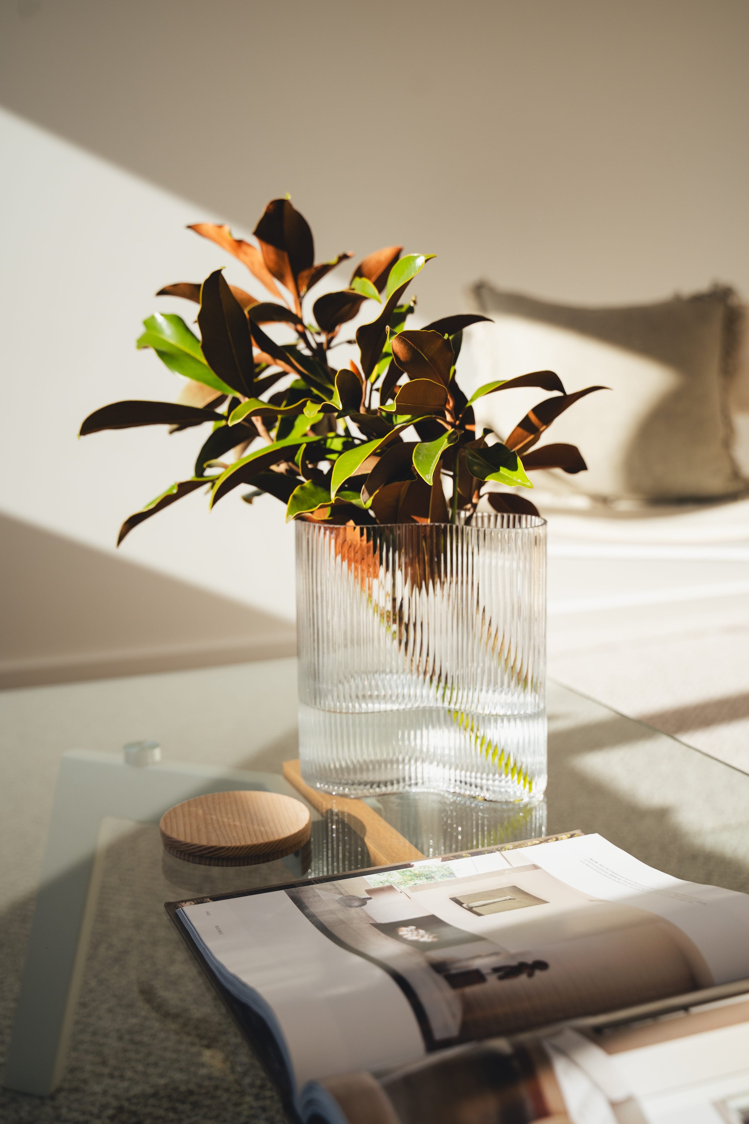 airbnb photographer canberra