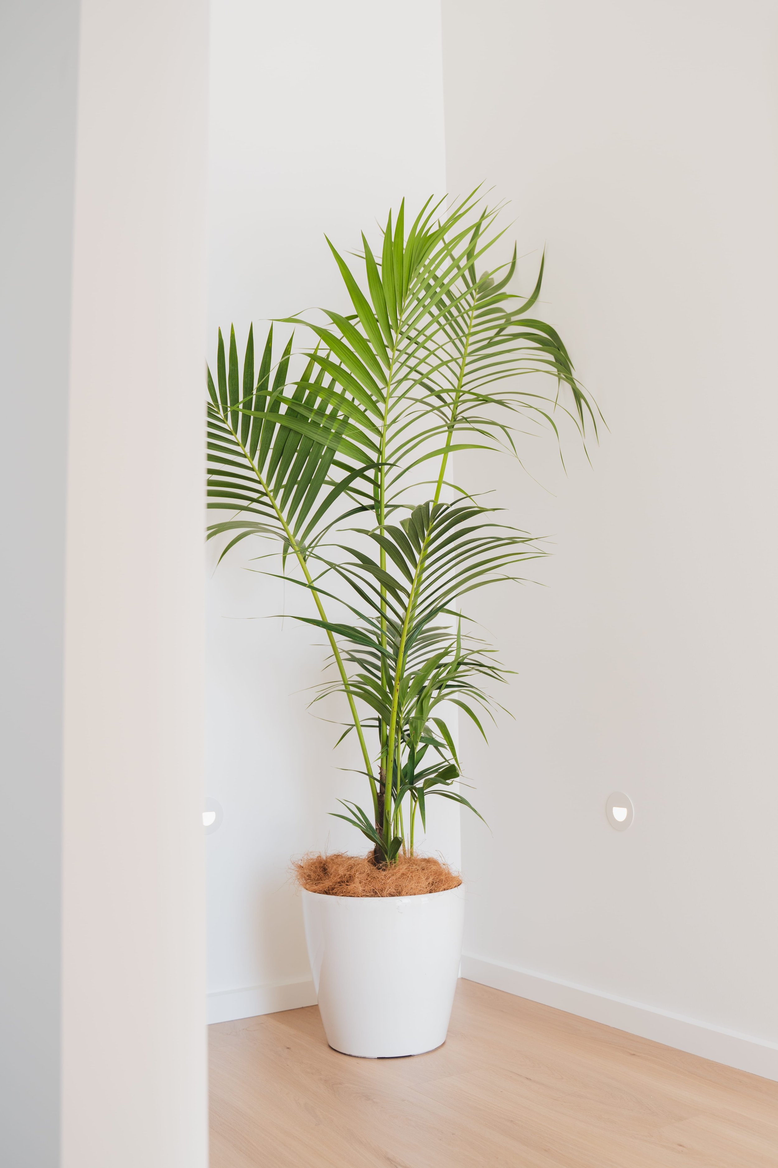airbnb photographer canberra